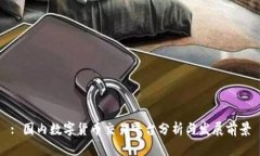 : 国内数字货币交易平台分析与发展前景