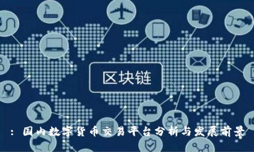 : 国内数字货币交易平台分析与发展前景