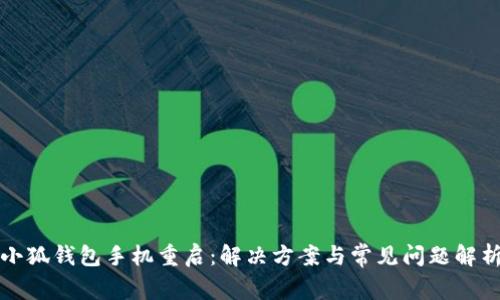 小狐钱包手机重启：解决方案与常见问题解析