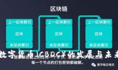 央行数字货币（CBDC）的发展与未来展望