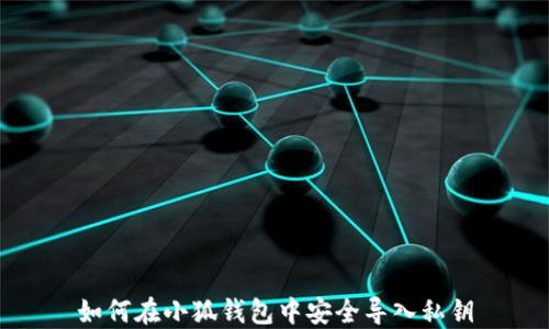 
如何在小狐钱包中安全导入私钥