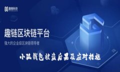 小狐钱包被盗后果及应对措施