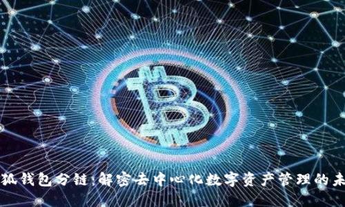 小狐钱包分链：解密去中心化数字资产管理的未来