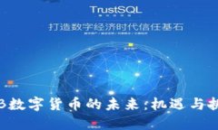 FRB数字货币的未来：机遇与挑战