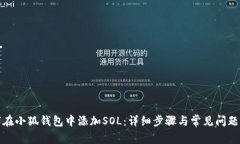 如何在小狐钱包中添加SOL：详细步骤与常见问题